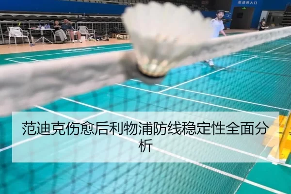 范迪克伤愈后利物浦防线稳定性全面分析