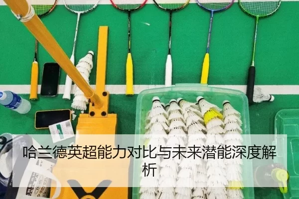 哈兰德英超能力对比与未来潜能深度解析