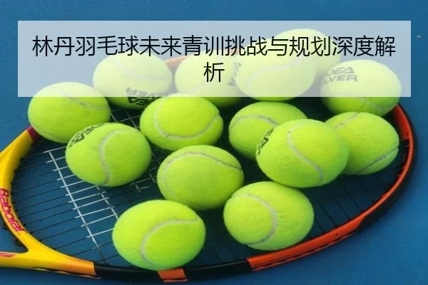 林丹羽毛球未来青训挑战与规划深度解析