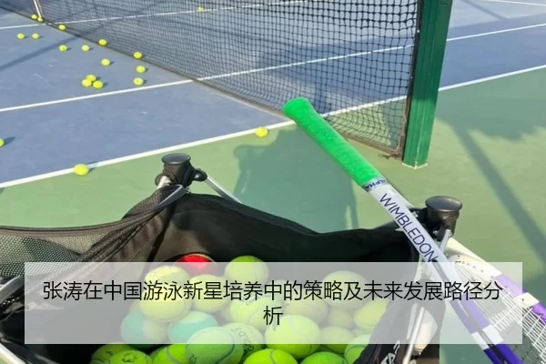 张涛在中国游泳新星培养中的策略及未来发展路径分析
