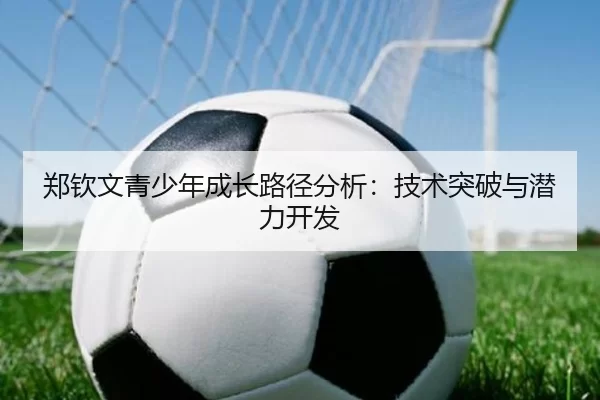 郑钦文青少年成长路径分析：技术突破与潜力开发